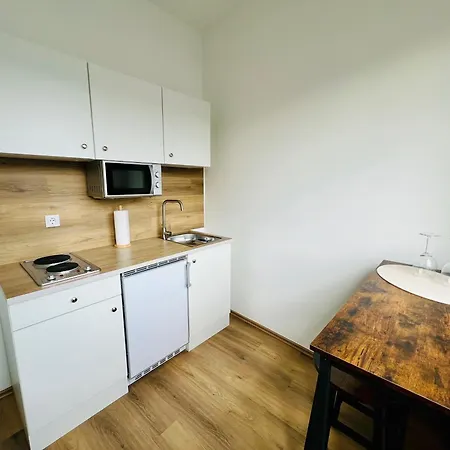 Apartment Zentral Gelegenes Und Stilvoll Moebliertes In Nur 5 Minuten Vom Hbf Und City, Ideal Fuer Pendler Und Messebesucher