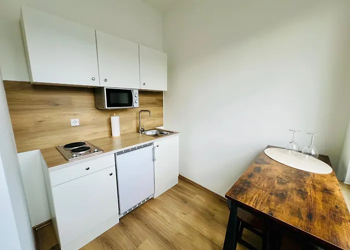 Apartment Zentral Gelegenes Und Stilvoll Möbliertes In Nur 5 Minuten Vom Hbf Und City, Ideal Für Pendler Und Messebesucher