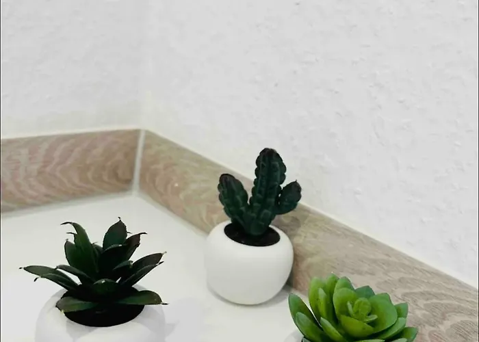 Hbf Zentrum Business Messe Duesseldorf Apartmán *